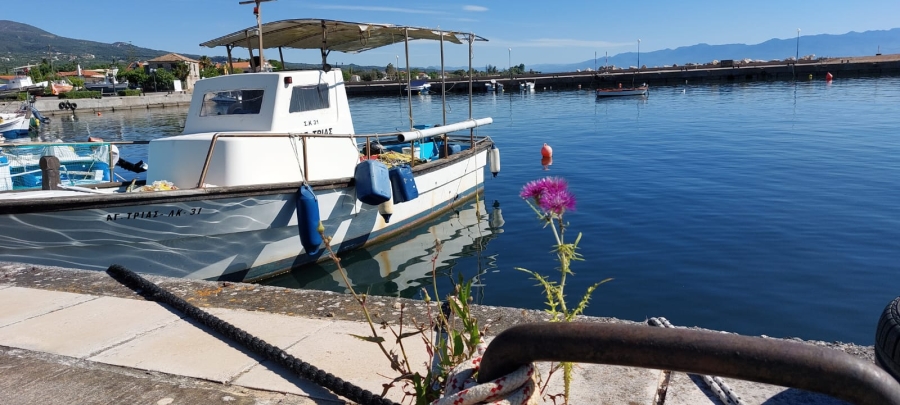 07-06-2025-Agios-Andreas-Neratzia-Logga-Agios-Andreas