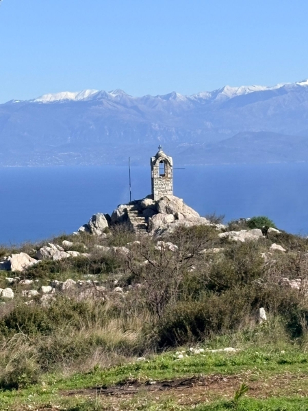 31-01-2026-Yamia-Chrysokellaria