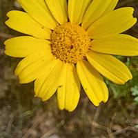 Img 20240518 Wa0020