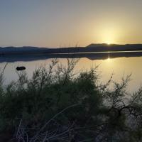 Img 20240614 Wa0004