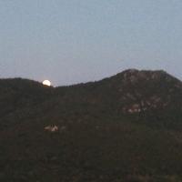 Img 20240622 Wa0029