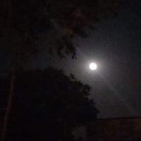 Img 20240622 Wa0054