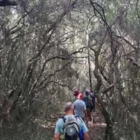 Img 20240907 Wa0031