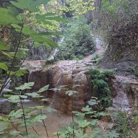 Img 20240907 Wa0069