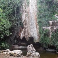 Img 20240907 Wa0071
