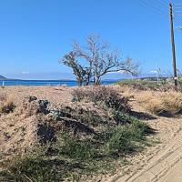 Img 20240928 Wa0029