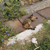 Img 20241012 Wa0011