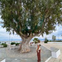 19 10 2024 Agios Andreas