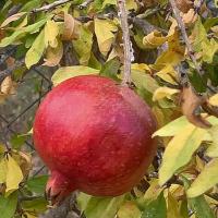Img 20241026 Wa0027