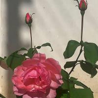 Img 20241026 Wa0028