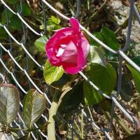 Img 20241102 Wa0006