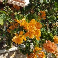 Img 20241102 Wa0057