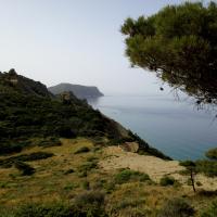Overview Week 21 2020