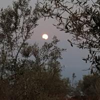 31 01 2018 Fullmoon Achlathochorie