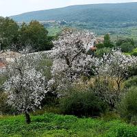 03 02 2018 Evangelismos To Kalithea