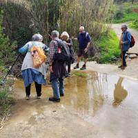 07 02 2018 Vasilitsi 1