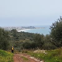 07 02 2018 Vasilitsi C 20