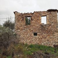 10 02 2018 Longa C 02