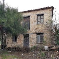 210 02 2018 Longa C 11