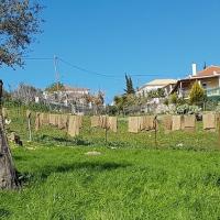 07 03 2018 Zizani Klisoura C 01