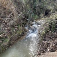 07 03 2018 Zizani Klisoura C 08