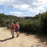 Neromilos Dara 7
