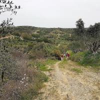17 03 2018 Methoni Finiki C 07