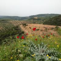 11 04 2018 Longa Neraidovrisi