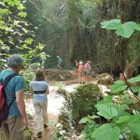 14 04 2018 Kalamari Waterfall C07