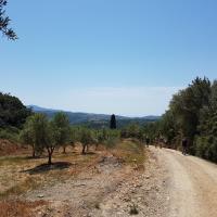 28 04 2018fromanatolikimilitsac16
