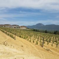 02 05 2018 Pyrgos And Nestor Winery