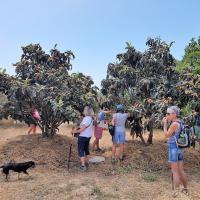 05 05 2018 Methoni Catacombsofonoufriosc23