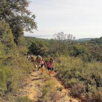 09 05 2018 Achlathochorie Tripesc01