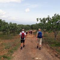 09 05 2018 Achlathochorie Tripesc13