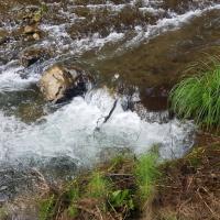 19 05 2018 Neromilos River 4