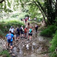23 05 2018 Finikounda River 20180523 102641