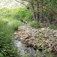 23 05 2018 Finikounda River C05