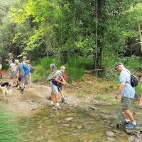 23 05 2018 Finikounda River C09