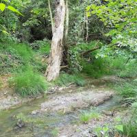 23 05 2018 Finikounda River C10