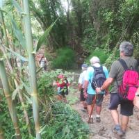 23 05 2018 Finikounda River Img 20180523 102523