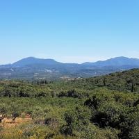 26 05 2018 Finikounda Gianoukakeika Loutsa