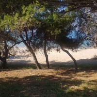 02 06 2018 Romanos Korifasi K04