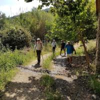 09 06 2018 Tzanes C13