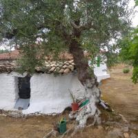 16 06 2018 Koroni 5