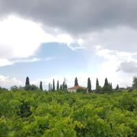 16 06 2018 Koroni 6
