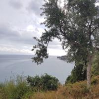 16 06 2018 Koroni 9