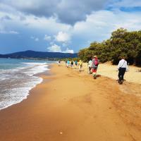 16 06 2018 Koroni C07