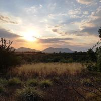 20 06 2018 Midsummereveningwalk C05