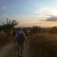 20 06 2018 Midsummereveningwalk M08