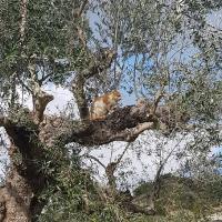 2018 01 06 12 31 40 Verkleind